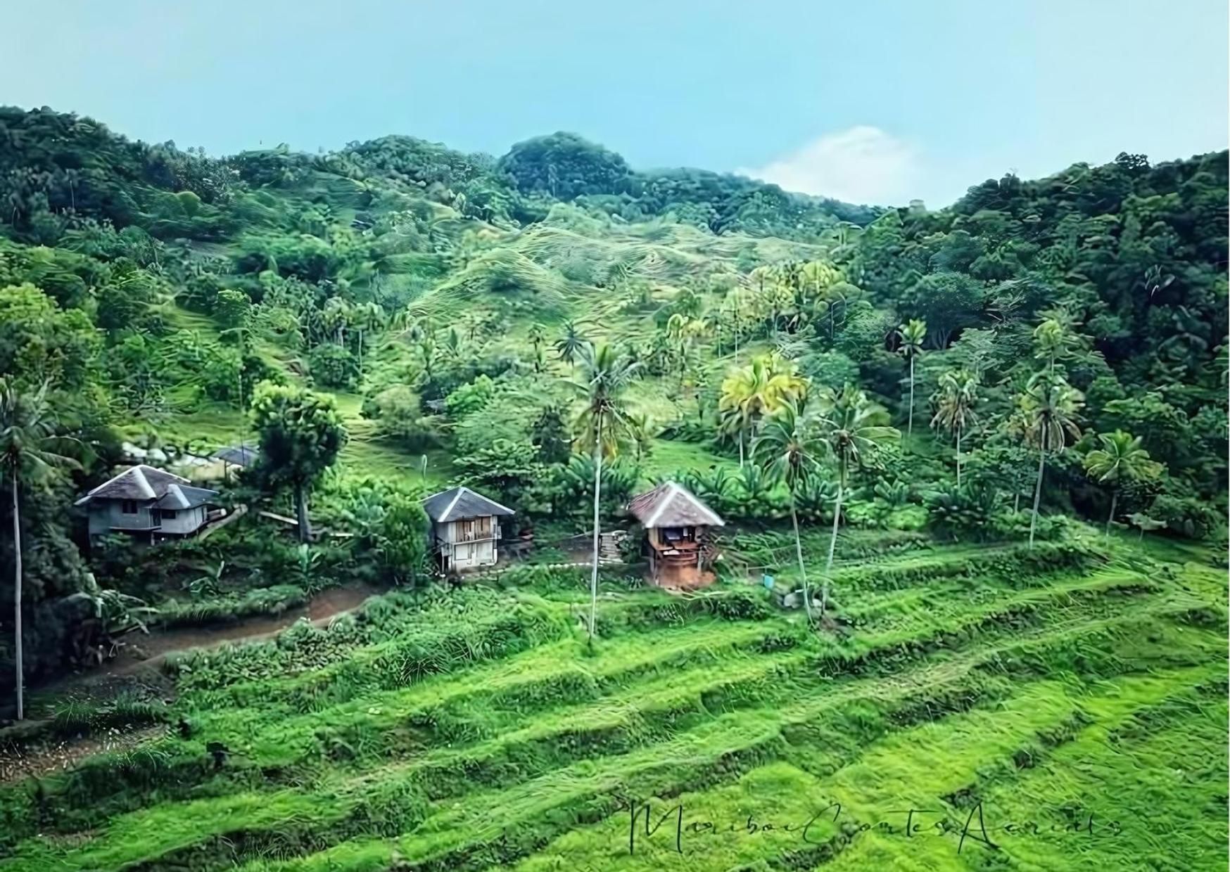 Canjahawon Nipa Hut Homestay Сикихор Экстерьер фото